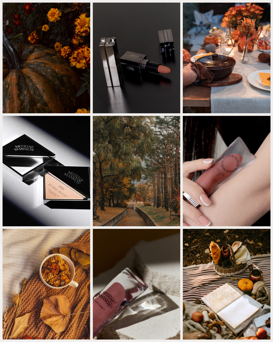 November Mood: Soft Rose, Gentle Light, Endless Glow